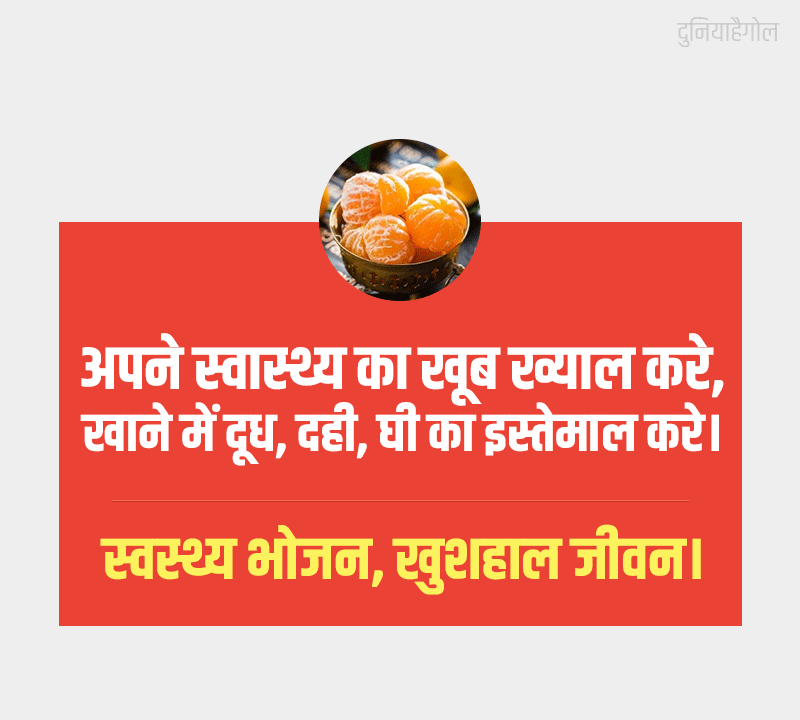 Healthy Food Poster in Hindi