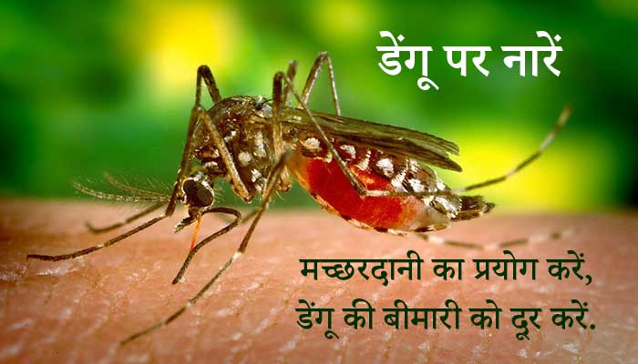 Slogans on Dengue in Hindi