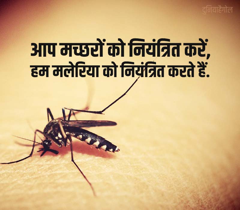 Slogans on Malaria in Hindi