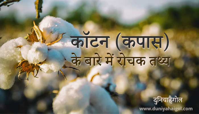 Cotton in Hindi  कपास के बारें में रोचक तथ्य