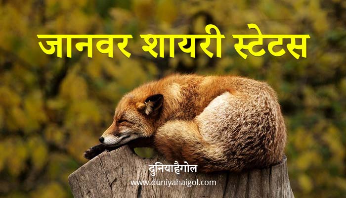 जानवर शायरी स्टेटस कोट्स | Animal Shayari Status Quotes in Hindi