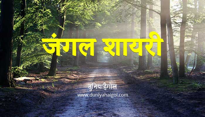 Forest Shayari