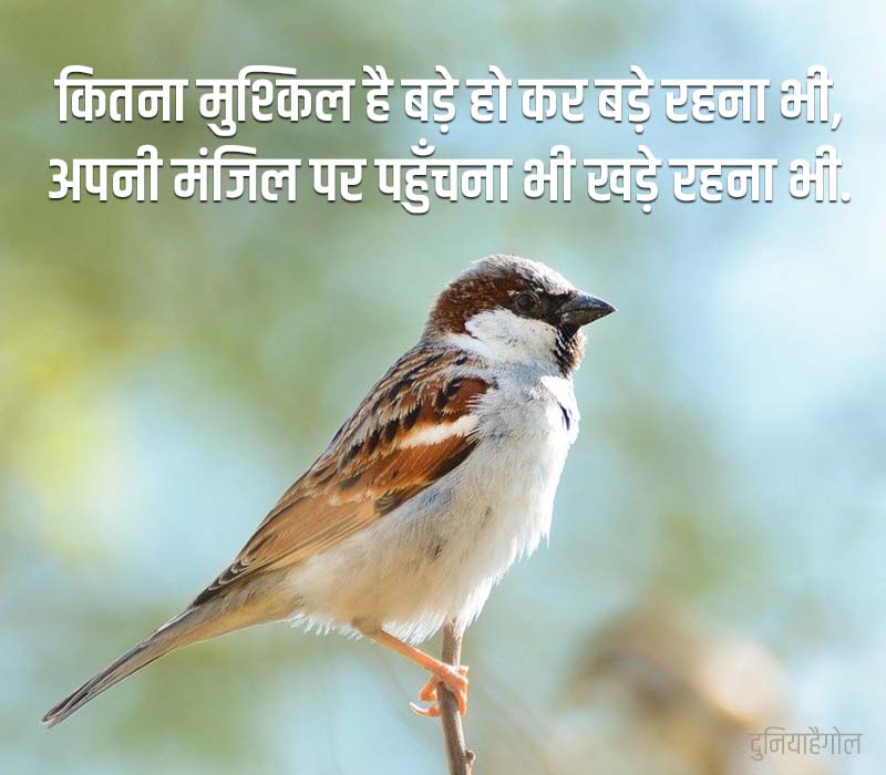 Manzil Quotes in Hindi
