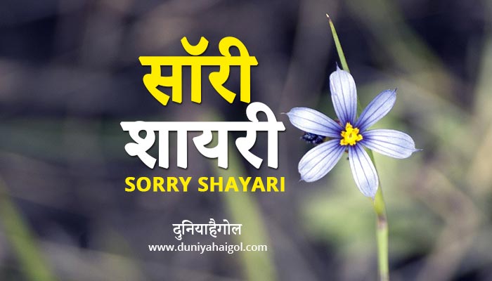 Sorry Shayari