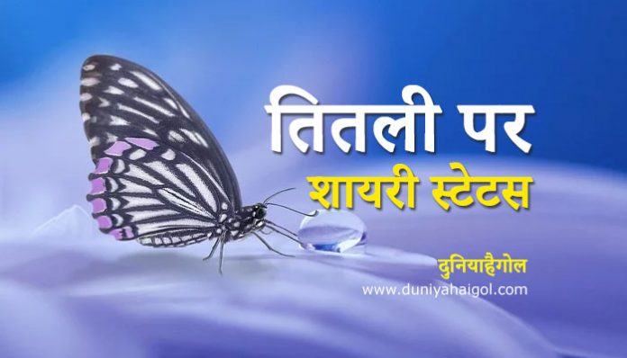 Butterfly Shayari