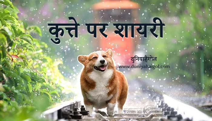 कुत्ते पर शायरी | Dog Shayari | Dog Dosti Shayari | दुनियाहैगोल
