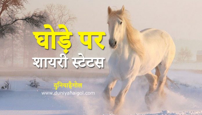 Horse Shayari