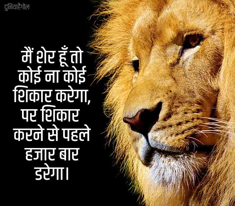 शेर शायरी | Lion Shayari Status Quotes in Hindi | दुनियाहैगोल