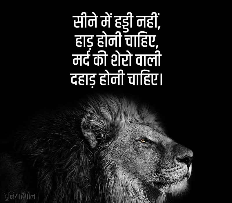 Shayari on Lion