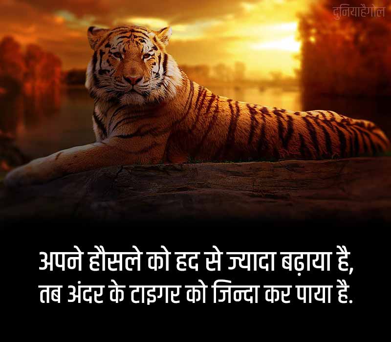 Tiger Shayari in Hindi