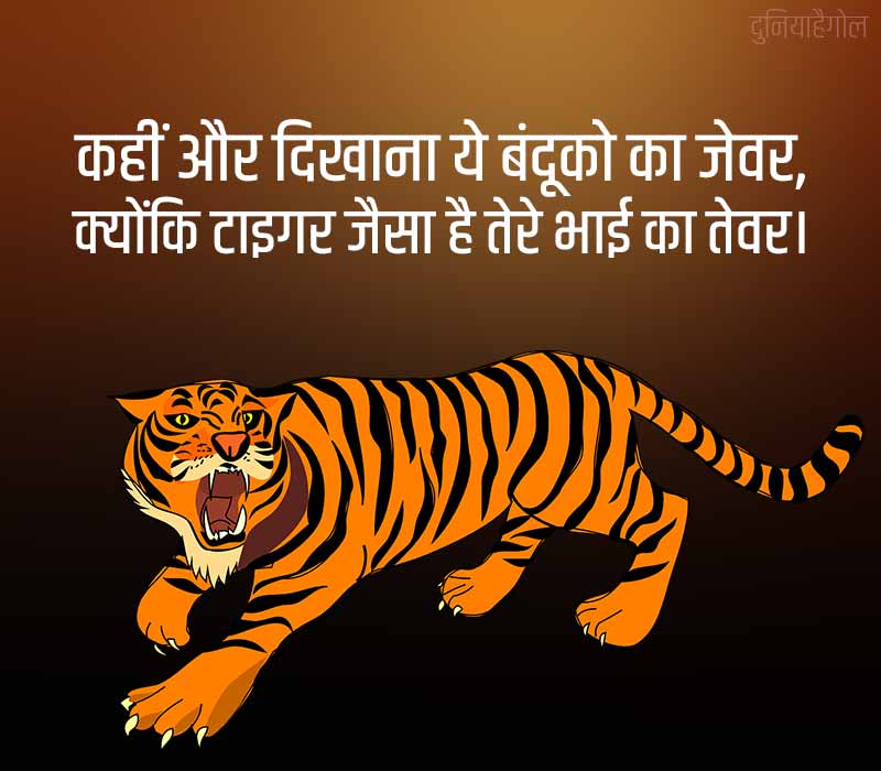 Tiger Status in Hindi