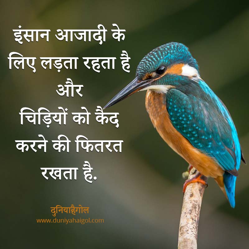 पक्षी शायरी | परिन्दें शायरी | Birds Shayari in Hindi | दुनियाहैगोल