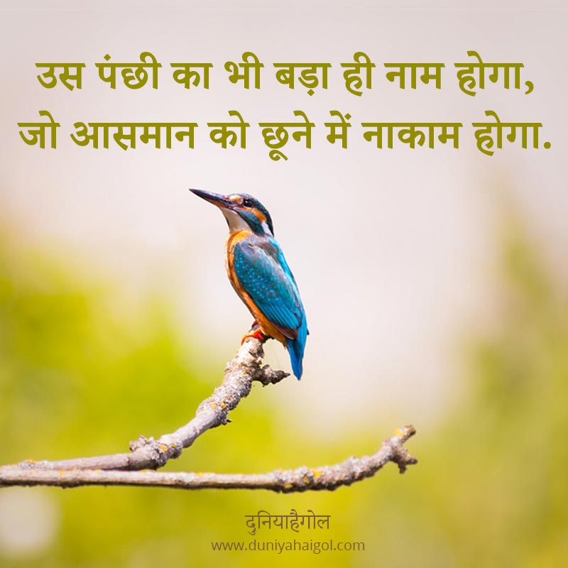 पक्षी शायरी परिन्दें शायरी Birds Shayari in Hindi