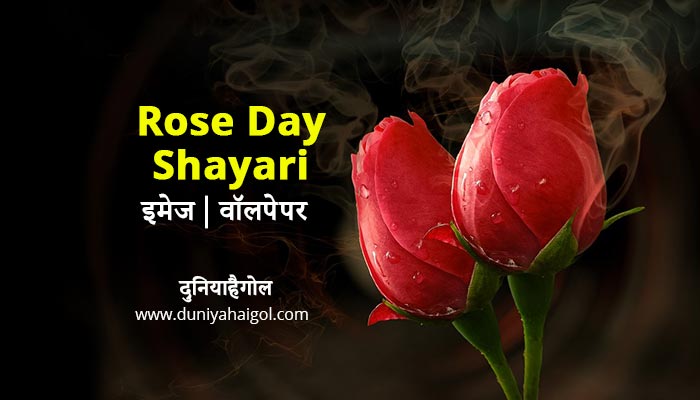 Rose Day Image Wallpaper in Hindi