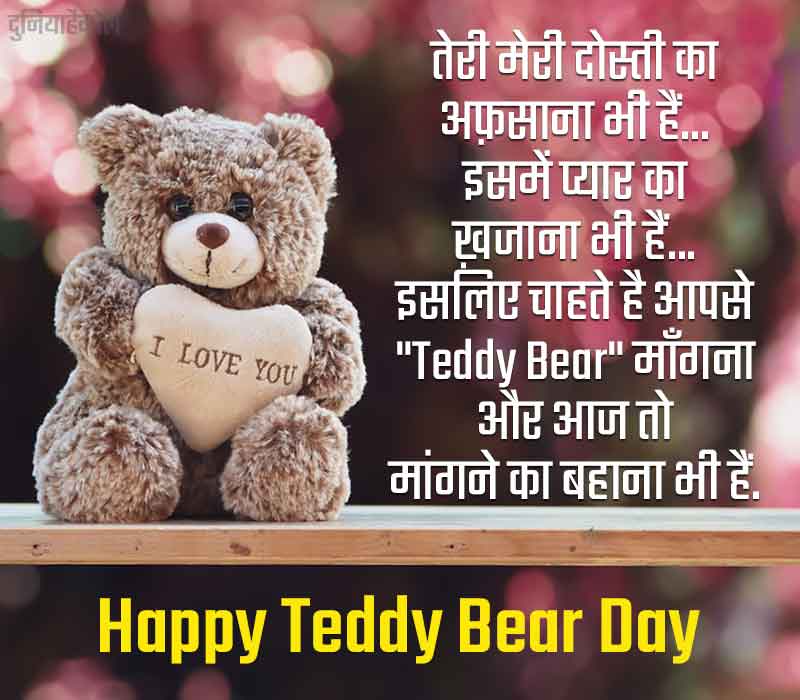 Teddy Bear Day Shayari in Hindi