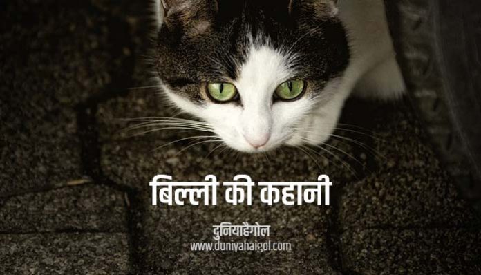 Cat Story in Hindi