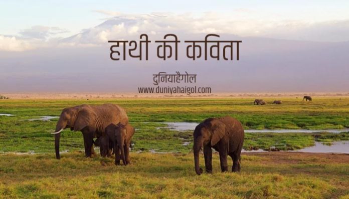 Elephant Poem in Hindi