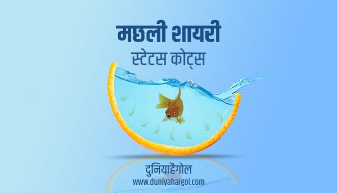 Fish Shayari Status Quotes Hindi