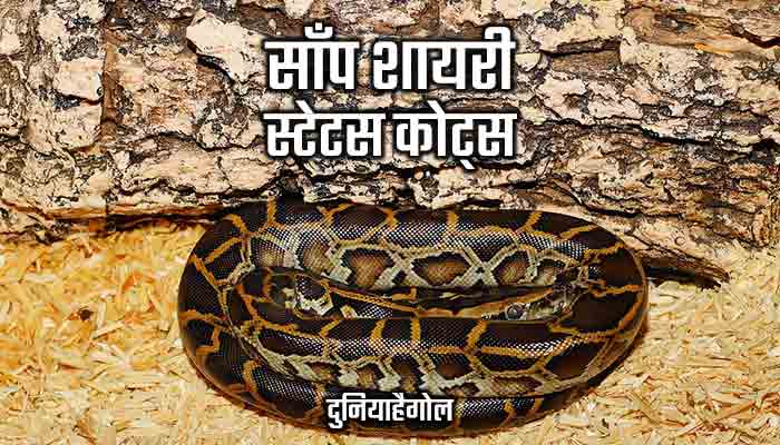 Snake Shayari Status Quotes Hindi