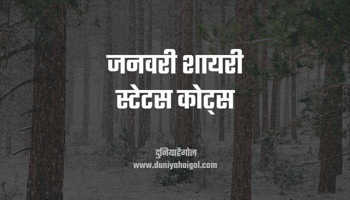 January Shayari Status Quotes Hindi