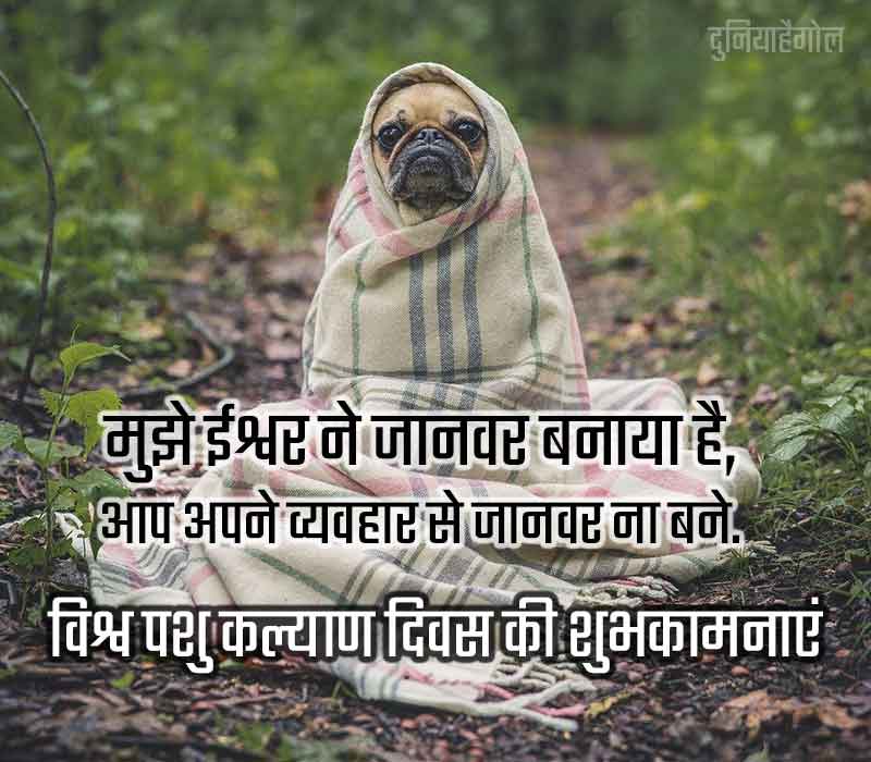 World Animal Day Status in Hindi