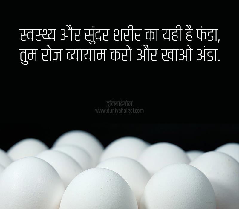 Egg Shayari in Hindi