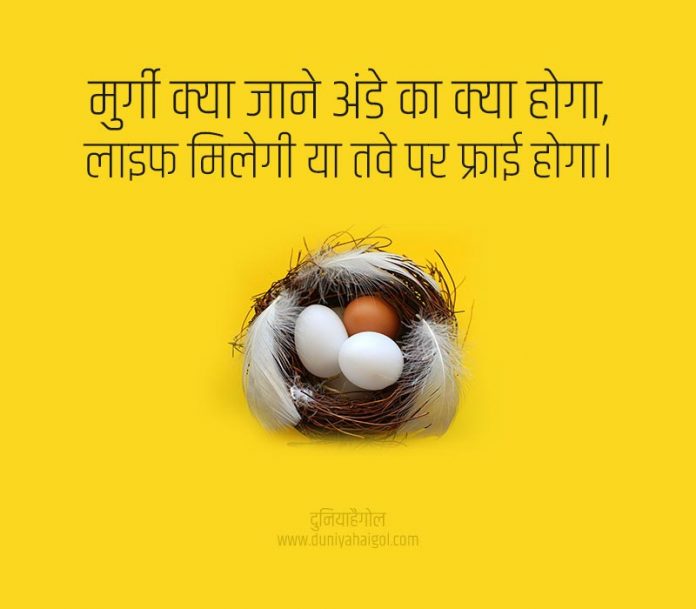 अंडे पर शायरी स्टेटस Egg Shayari Status Quotes in Hindi दुनियाहैगोल