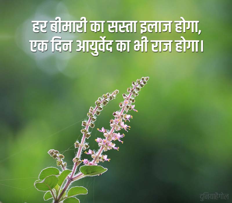 National Ayurveda Day Status in Hindi