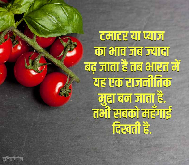 Tomato Quotes in Hindi