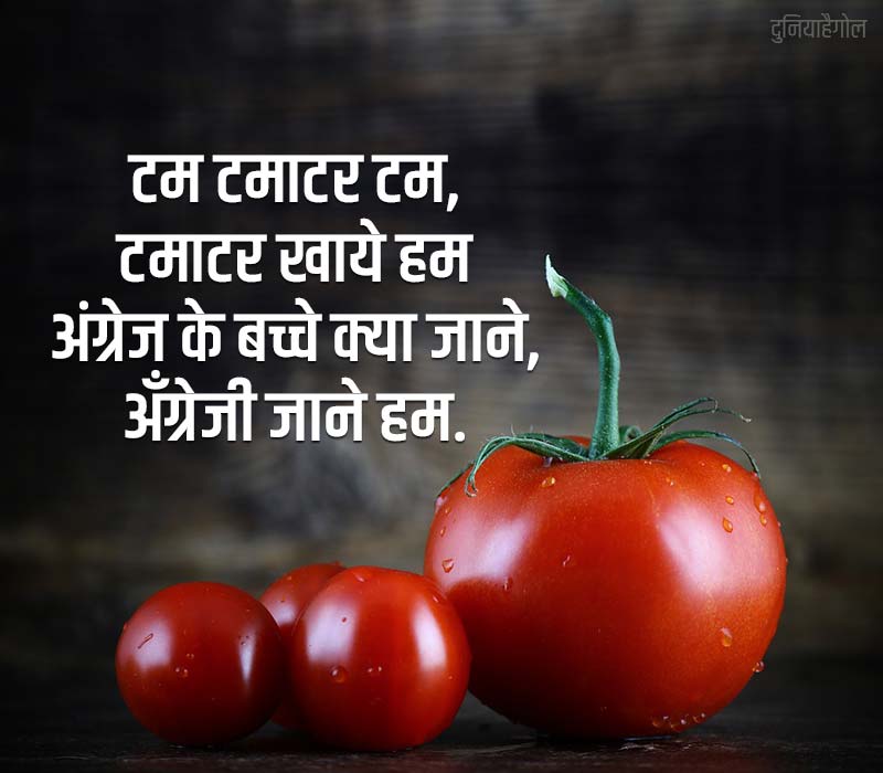 Tomato Shayari in Hindi