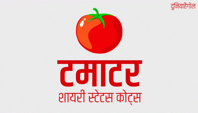 Tomato Shayari Status Quotes in Hindi