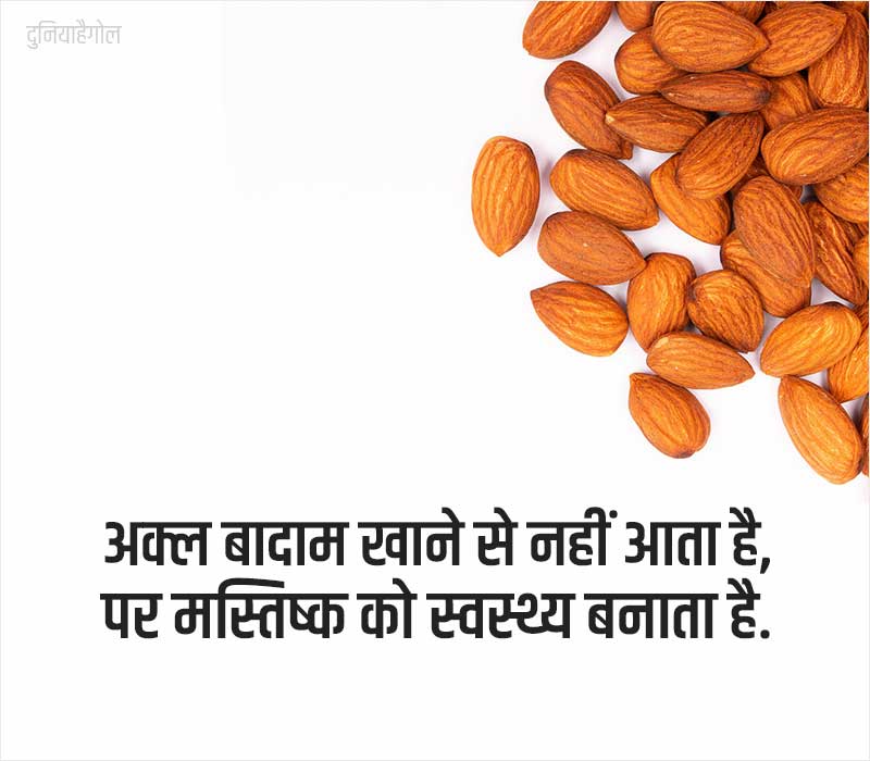 Almond Status in Hindi