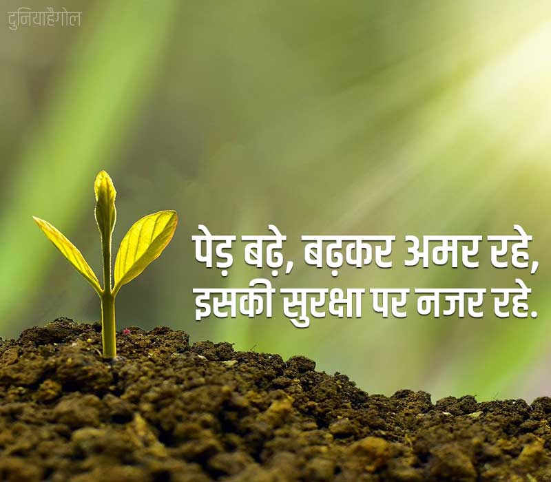 Slogans on Save Trees in Hindi