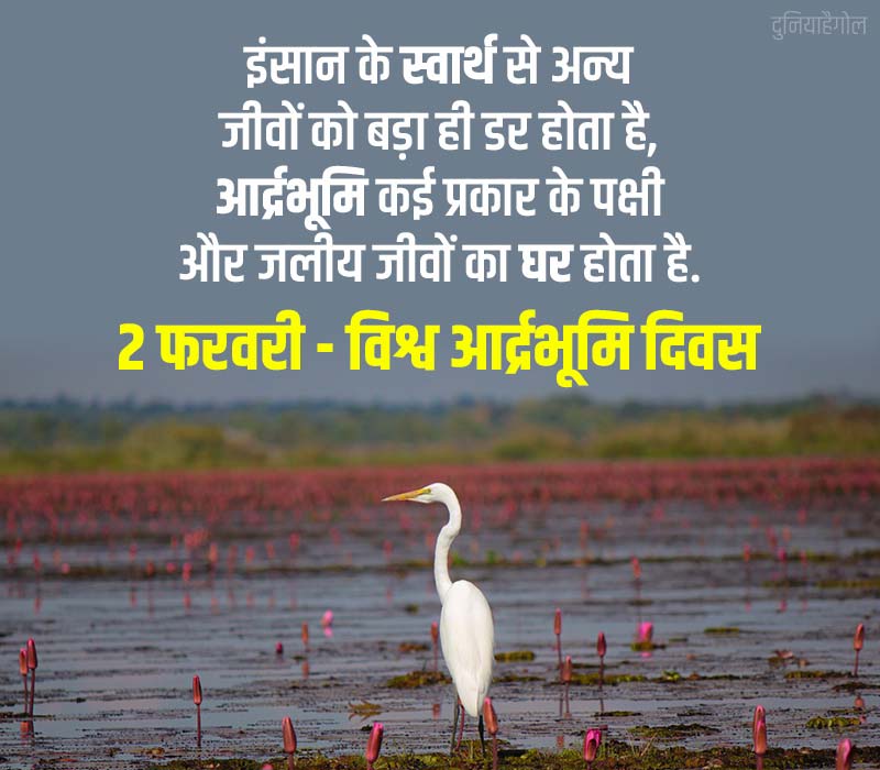 World Wetlands Day Shayari in Hindi