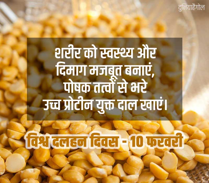 World Pulses Day Status in Hindi