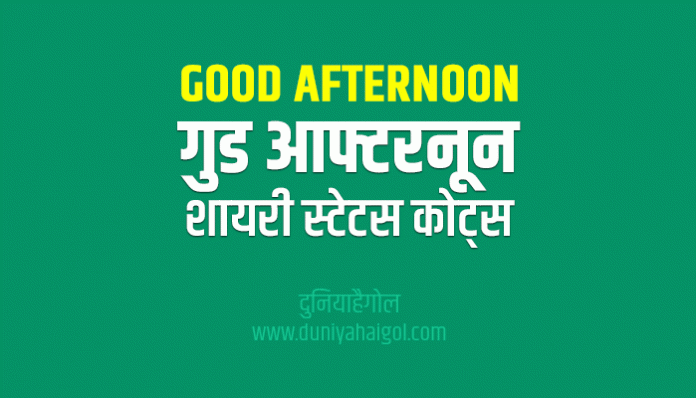 Good Afternoon Shayari Status Quotes in Hindi