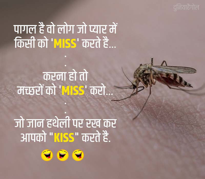 Mosquito Funny Jokes in Hindi